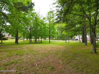 Beautiful, level, golf course, .29 acre lot ready for your new on Sound Golf Links at Albemarle Plantation in North Carolina - for sale on GolfHomes.com, golf home, golf lot