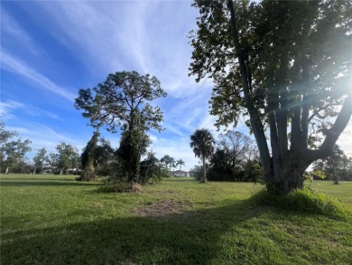 Build your SW Florida dream home in the beautiful community on Burnt Store Golf Club in Florida - for sale on GolfHomes.com, golf home, golf lot