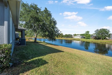 Welcome to 117 Hagge Drive, nestled in the prestigious LPGA on LPGA International Golf Course in Florida - for sale on GolfHomes.com, golf home, golf lot