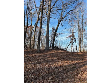 Nice building lot in Chickasaw Point in a great location. Close on The Trail At Chickasaw Pointe in South Carolina - for sale on GolfHomes.com, golf home, golf lot