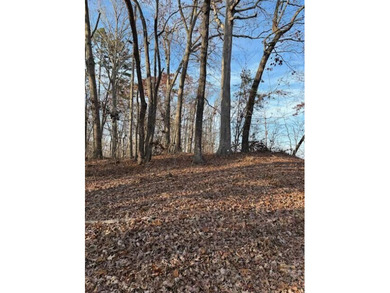 Nice building lot in Chickasaw Point in a great location. Close on The Trail At Chickasaw Pointe in South Carolina - for sale on GolfHomes.com, golf home, golf lot