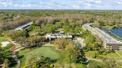 Looking for the *WOW* feature for your vacation spot or primary on Innisbrook Resort and Golf Club in Florida - for sale on GolfHomes.com, golf home, golf lot