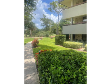Looking for the *WOW* feature for your vacation spot or primary on Innisbrook Resort and Golf Club in Florida - for sale on GolfHomes.com, golf home, golf lot