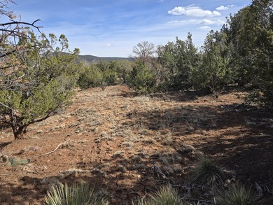 Here is your chance to create your own slice of paradise in on Paa-Ko Ridge Golf Club  in New Mexico - for sale on GolfHomes.com, golf home, golf lot