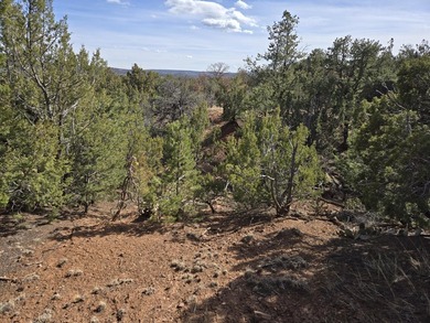 Here is your chance to create your own slice of paradise in on Paa-Ko Ridge Golf Club  in New Mexico - for sale on GolfHomes.com, golf home, golf lot