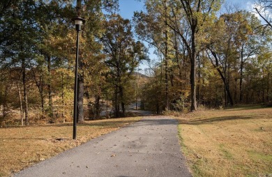 This 3 bed 2 1/2 bath home is sitting on 5.1 acres on the eagle on The Course At Eagle Mountain in Arkansas - for sale on GolfHomes.com, golf home, golf lot