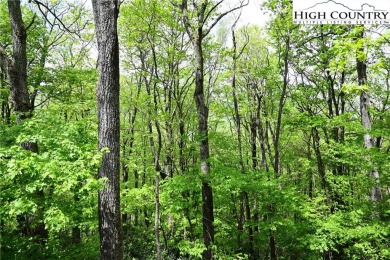 Custom built Rustic Log Home on a quiet wooded lot.  Enjoy this on Mountain Aire Golf Course in North Carolina - for sale on GolfHomes.com, golf home, golf lot