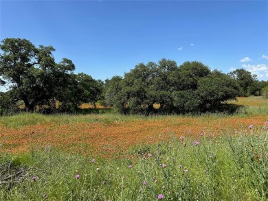 Lot 1079 in the Kings Point Cove Resort Community is a large on Hideout Golf Club and Resort  in Texas - for sale on GolfHomes.com, golf home, golf lot