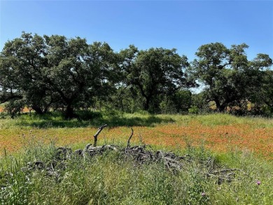 Lot 1079 in the Kings Point Cove Resort Community is a large on Hideout Golf Club and Resort  in Texas - for sale on GolfHomes.com, golf home, golf lot