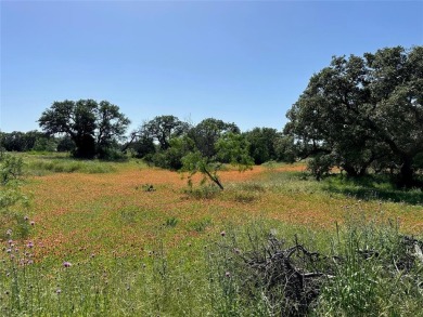Lot 1079 in the Kings Point Cove Resort Community is a large on Hideout Golf Club and Resort  in Texas - for sale on GolfHomes.com, golf home, golf lot