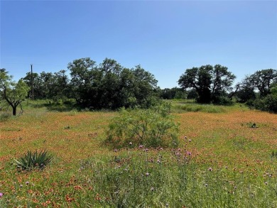 Lot 1079 in the Kings Point Cove Resort Community is a large on Hideout Golf Club and Resort  in Texas - for sale on GolfHomes.com, golf home, golf lot