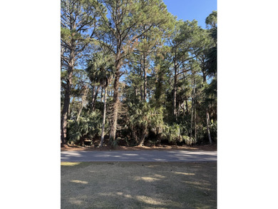 Build your dream coastal retreat on this beautiful homesite at on Ocean Point Golf Links in South Carolina - for sale on GolfHomes.com, golf home, golf lot