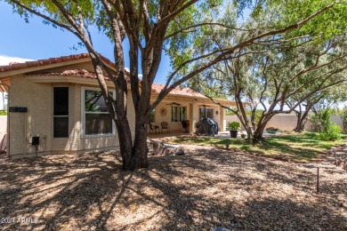 BRAND NEW ROOF comes w/this great home featuring 3 LARGE on Palo Verde Golf and Country Club in Arizona - for sale on GolfHomes.com, golf home, golf lot