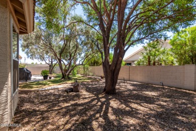 BRAND NEW ROOF comes w/this great home featuring 3 LARGE on Palo Verde Golf and Country Club in Arizona - for sale on GolfHomes.com, golf home, golf lot