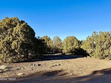 Beautiful, heavily treed lot in White Mountain Lakes with water on Silver Creek Golf Club in Arizona - for sale on GolfHomes.com, golf home, golf lot