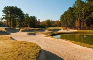 New Construction Home Opportunity- Lake Lot - The Georgian Golf on The Frog Golf Club in Georgia - for sale on GolfHomes.com, golf home, golf lot