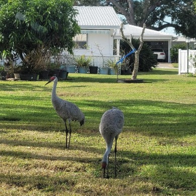 New to the market! This Eden model home offers 2 bedrooms, 2 on Mainlands Golf Club in Florida - for sale on GolfHomes.com, golf home, golf lot