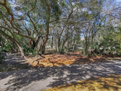 Don't Miss This Incredible Opportunity on Hilton Head Island! on Country Club of Hilton Head in South Carolina - for sale on GolfHomes.com, golf home, golf lot