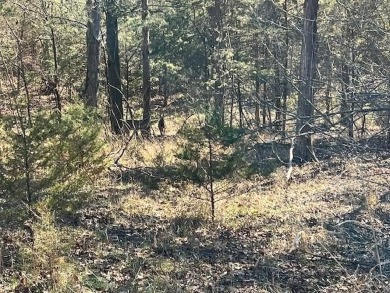 This gently sloping downhill lot would be the perfect spot to on Holiday Island Executive Golf Course in Arkansas - for sale on GolfHomes.com, golf home, golf lot