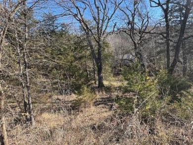 This gently sloping downhill lot would be the perfect spot to on Holiday Island Executive Golf Course in Arkansas - for sale on GolfHomes.com, golf home, golf lot