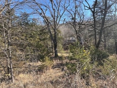 This gently sloping downhill lot would be the perfect spot to on Holiday Island Executive Golf Course in Arkansas - for sale on GolfHomes.com, golf home, golf lot