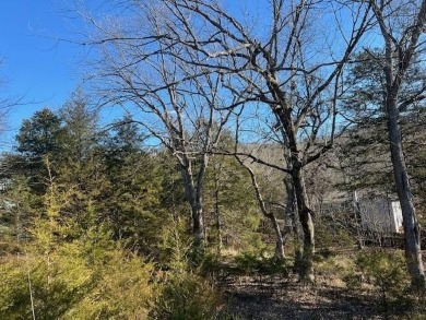 This gently sloping downhill lot would be the perfect spot to on Holiday Island Executive Golf Course in Arkansas - for sale on GolfHomes.com, golf home, golf lot