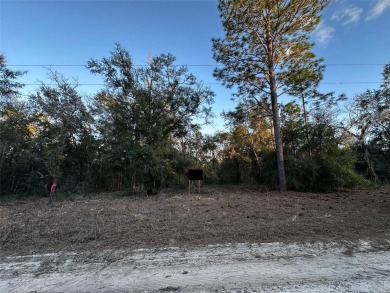 Excellent lot in Williston Highlands. Owner Financing Available on Williston Highlands Golf and Country Club in Florida - for sale on GolfHomes.com, golf home, golf lot