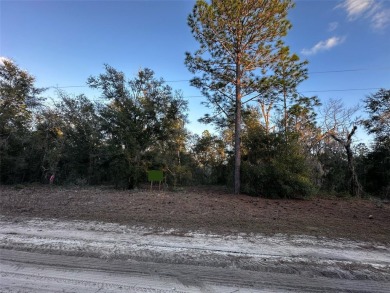 Excellent lot in Williston Highlands. Owner Financing Available on Williston Highlands Golf and Country Club in Florida - for sale on GolfHomes.com, golf home, golf lot