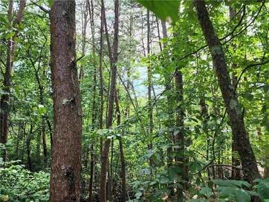 SURVEY AVAILABLE! Stunning Cul de Sac Lot in the gated Innsbruck on Innsbruck Resort and Golf Club in Georgia - for sale on GolfHomes.com, golf home, golf lot