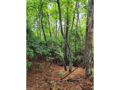 SURVEY AVAILABLE! Stunning Cul de Sac Lot in the gated Innsbruck on Innsbruck Resort and Golf Club in Georgia - for sale on GolfHomes.com, golf home, golf lot