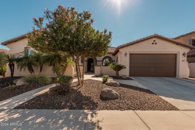 Views, views and more views!  Elegant single level home on Seville Golf and Country Club in Arizona - for sale on GolfHomes.com, golf home, golf lot