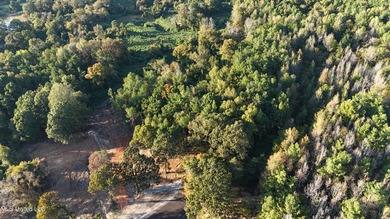 Welcome to Lot 8 of Timber Trail S/D, a 11.34 acre lot offering on  in Mississippi - for sale on GolfHomes.com, golf home, golf lot