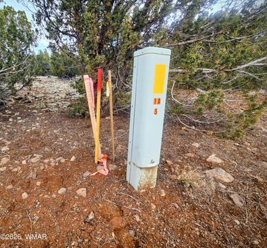 With the purchase of this property, you'll enjoy full access to on Silver Creek Golf Club in Arizona - for sale on GolfHomes.com, golf home, golf lot