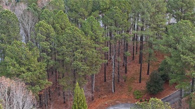 Take in the breathtaking lake and mountain views from this 1.23 on The Cliffs At Keowee Falls in South Carolina - for sale on GolfHomes.com, golf home, golf lot