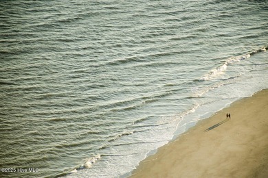 Introducing The Starling, a stunning new home by Logan Homes in on Ocean Ridge Plantation in North Carolina - for sale on GolfHomes.com, golf home, golf lot