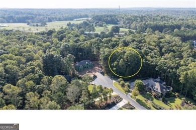 A unique opportunity for new construction on a spacious lot of on Hawks Ridge Golf Club in Georgia - for sale on GolfHomes.com, golf home, golf lot