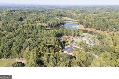 A unique opportunity for new construction on a spacious lot of on Hawks Ridge Golf Club in Georgia - for sale on GolfHomes.com, golf home, golf lot