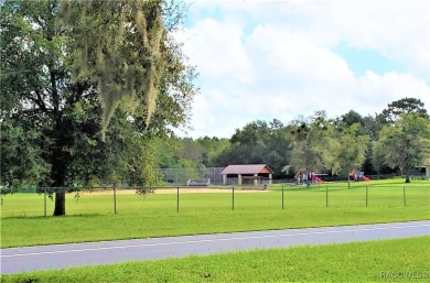 Beautiful HIGH AND DRY Homesite on smooth paved road in the on Citrus Springs Country Club in Florida - for sale on GolfHomes.com, golf home, golf lot