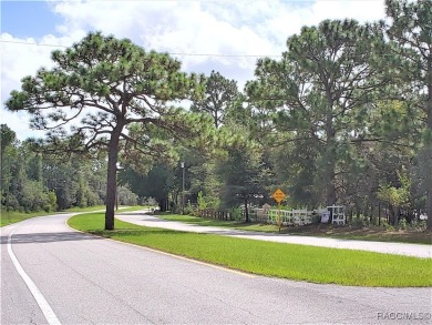 Beautiful HIGH AND DRY Homesite on smooth paved road in the on Citrus Springs Country Club in Florida - for sale on GolfHomes.com, golf home, golf lot