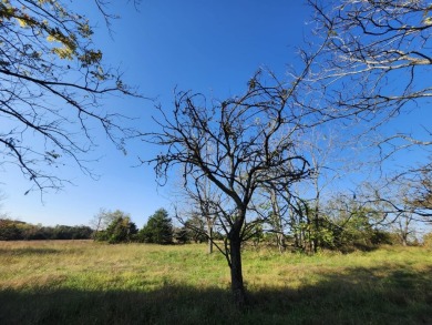 STOP THE PRESS!!!!! 10 Acres mostly open acres in good Grass at on Wedgewood Country Club in Missouri - for sale on GolfHomes.com, golf home, golf lot