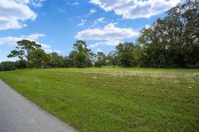 Estate lot just waiting for your dream home! Over 3/4 of an acre on Black Diamond Ranch Golf Course in Florida - for sale on GolfHomes.com, golf home, golf lot