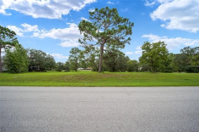 Estate lot just waiting for your dream home! Over 3/4 of an acre on Black Diamond Ranch Golf Course in Florida - for sale on GolfHomes.com, golf home, golf lot