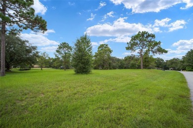 Estate lot just waiting for your dream home! Over 3/4 of an acre on Black Diamond Ranch Golf Course in Florida - for sale on GolfHomes.com, golf home, golf lot