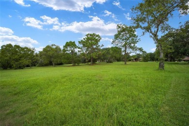 Estate lot just waiting for your dream home! Over 3/4 of an acre on Black Diamond Ranch Golf Course in Florida - for sale on GolfHomes.com, golf home, golf lot