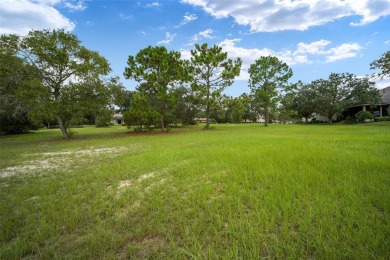 Estate lot just waiting for your dream home! Over 3/4 of an acre on Black Diamond Ranch Golf Course in Florida - for sale on GolfHomes.com, golf home, golf lot