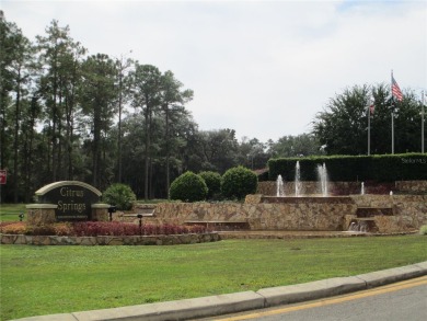 NICE CURB APPEAL! Spacious 3 Bedroom 2 Bath Split Plan Ranch In on Citrus Springs Country Club in Florida - for sale on GolfHomes.com, golf home, golf lot