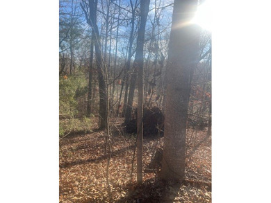 Beautiful, wooded golf course lot perfect for your forever home on The Trail At Chickasaw Pointe in South Carolina - for sale on GolfHomes.com, golf home, golf lot