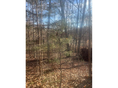 Beautiful, wooded golf course lot perfect for your forever home on The Trail At Chickasaw Pointe in South Carolina - for sale on GolfHomes.com, golf home, golf lot