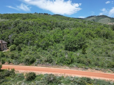 Top of the Bear Lake West, wooded secluded building lot. Views on Bear Lake West Golf and Country Club in Idaho - for sale on GolfHomes.com, golf home, golf lot