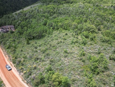 Top of the Bear Lake West, wooded secluded building lot. Views on Bear Lake West Golf and Country Club in Idaho - for sale on GolfHomes.com, golf home, golf lot